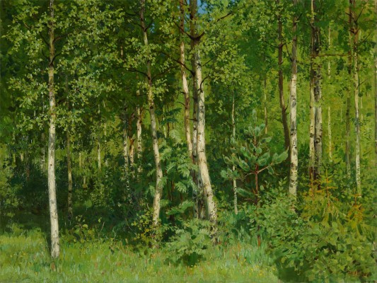 Кугач Юрий Петрович. Березовая роща 